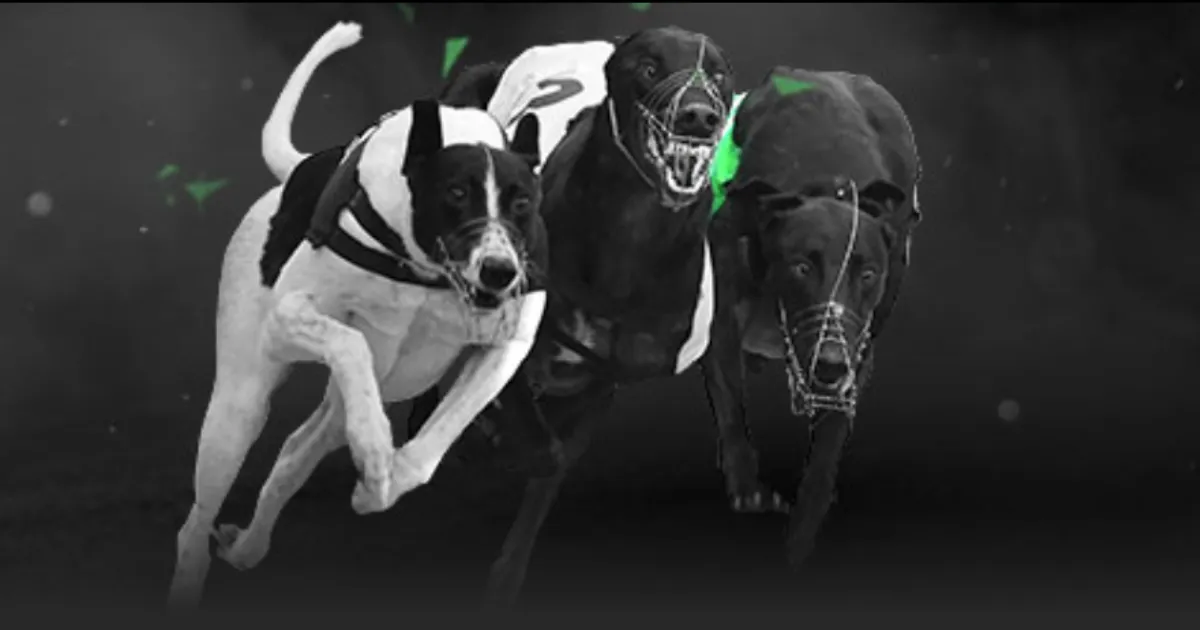 三节独得,风趣回应,若破,227Crown,227皇冠,227皇冠体育入口,227皇冠官网,227皇冠体育APP下载