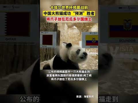 郑钦文巧妙,应对总决赛,合影站位,227Crown,227皇冠,227皇冠体育入口,227皇冠官网,227皇冠体育APP下载