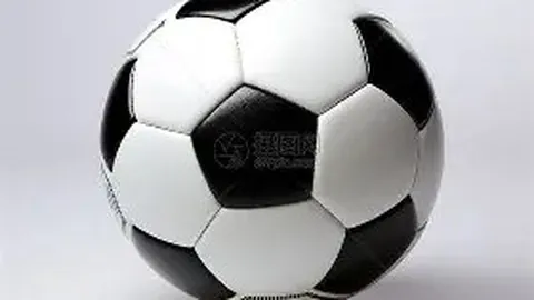 福建文旅男篮引入新球员拉肖恩·托马斯，即将征战CBA舞台