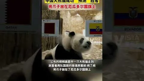 “郑钦文巧妙应对总决赛合影站位：国际拍照无固定规矩，自由排列——东南早报”