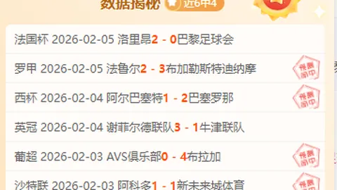 瑞昌羽毛球超级联赛夺冠，王祉怡关键得分显神威