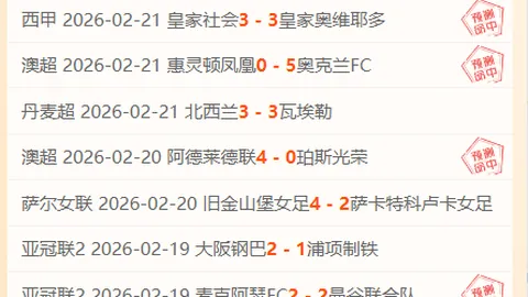 大乐透期号专家推荐：帕纳多客场质合分析及前区十码